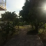 Nikos * Sidárion